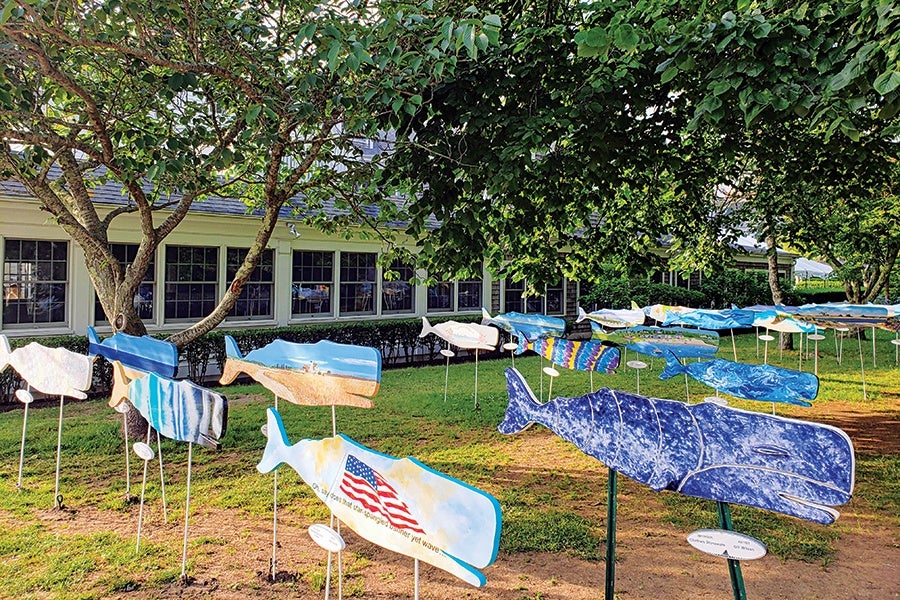 A grassy outdoor area with multiple colorful whale-shaped sculptures mounted on metal stands. The whales are painted in various designs, including one with an American flag and another in a blue marbled pattern. Trees with green leaves provide partial shade, and a building with large windows is visible in the background.